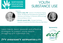 Youth Substance Use Workshop
